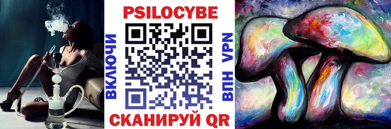 Псилоцибиновые грибы прущие грибы  сайты даркнета наркотические препараты  Городовиковск 