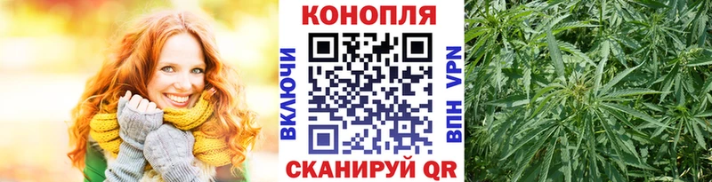 цена наркотик  Городовиковск  Шишки марихуана семена 